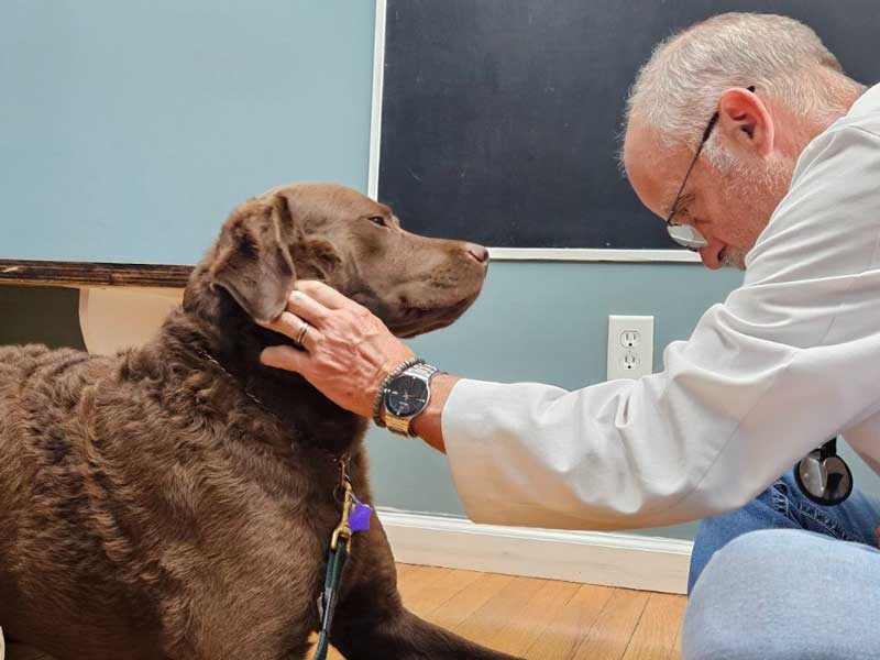 Veterinary Resources for your Pet