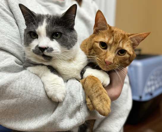 financial well-being