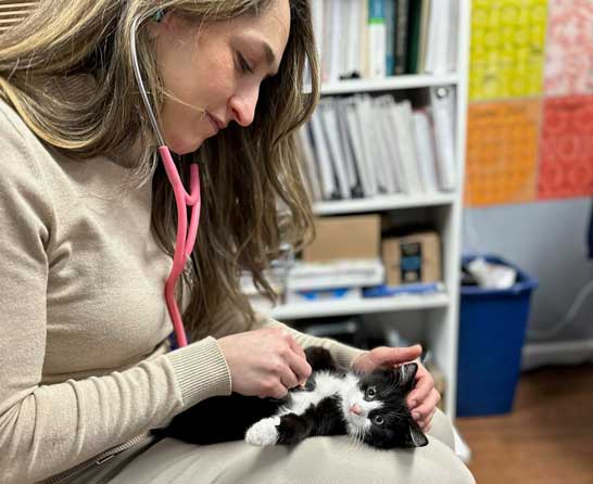 Education and training programs