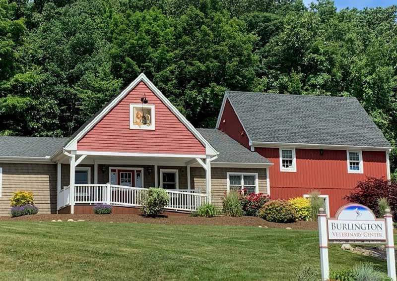 Carousel Slide 2: Learn more about Burlington Veterinary Center!