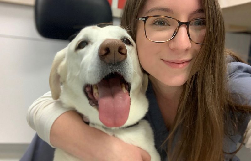 Diagnostics Vet in Burlington Burlington Veterinary Center